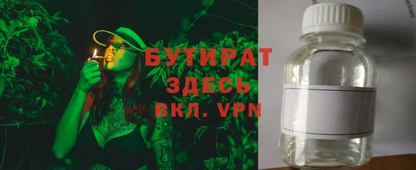 твердый Краснослободск