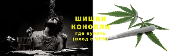 твердый Краснослободск