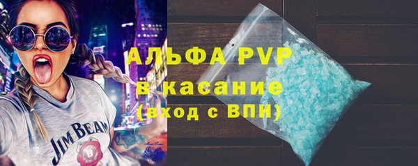 твердый Краснослободск