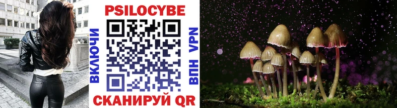 мориарти официальный сайт  Усть-Илимск  Псилоцибиновые грибы Psilocybine cubensis 