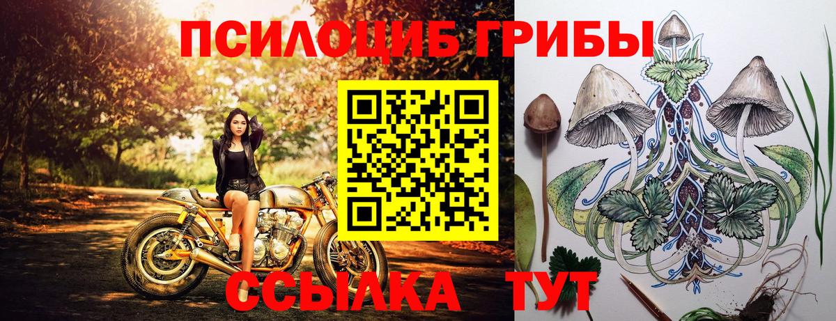 Галлюциногенные грибы MAGIC MUSHROOMS  Усть-Илимск 