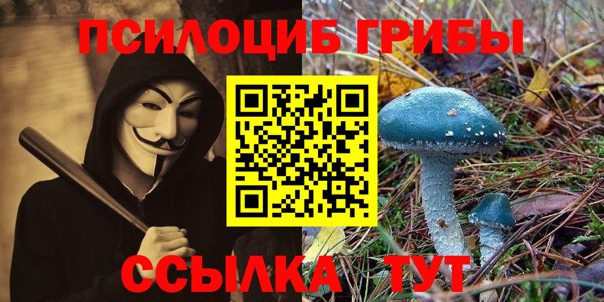 Галлюциногенные грибы Psilocybe  Вход с VPN  Усть-Илимск 